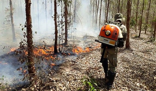 750_sema-incendios-florestais-inema-act_2021221272979