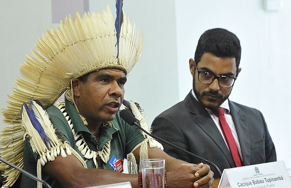 CACIQUE BABAU