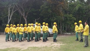 a briga dista indigena