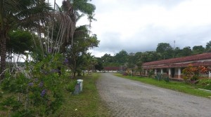 DCIM100MEDIADJI_0082.JPG