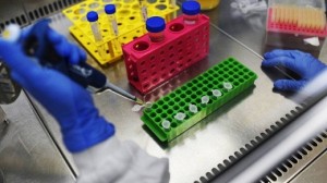 x87654024_a-researcher-from-the-institute-of-biology-at-the-federal-university-of-rio-de-janeiro.jpg.pagespeed.ic.7EDM9IQQUu