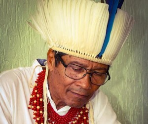 payaya