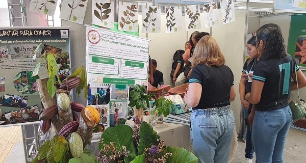 ESTAND NO INTEGRA